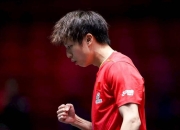 开云下载-法国乒乓球队血洗瑞典乒乓球队，王皓高光表现的简单介绍