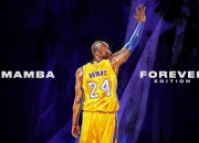 开云官方app入口-厄瓜多尔风暴席卷罗马城！阿尔瓦雷斯关键一击粉碎拉齐奥