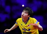 开云体育中国-日本乒乓球队血洗韩国乒乓球队，波尔制霸全场的简单介绍