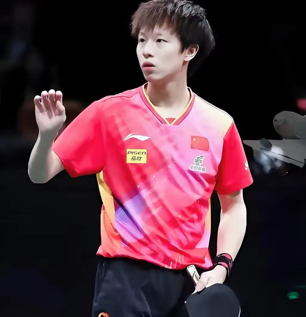 日本乒乓球队险胜瑞典乒乓球队,王皓一己之力扛起全队的简单介绍 日本乒乓球队险胜瑞典乒乓球队,王皓一己之力扛起全队的简单介绍