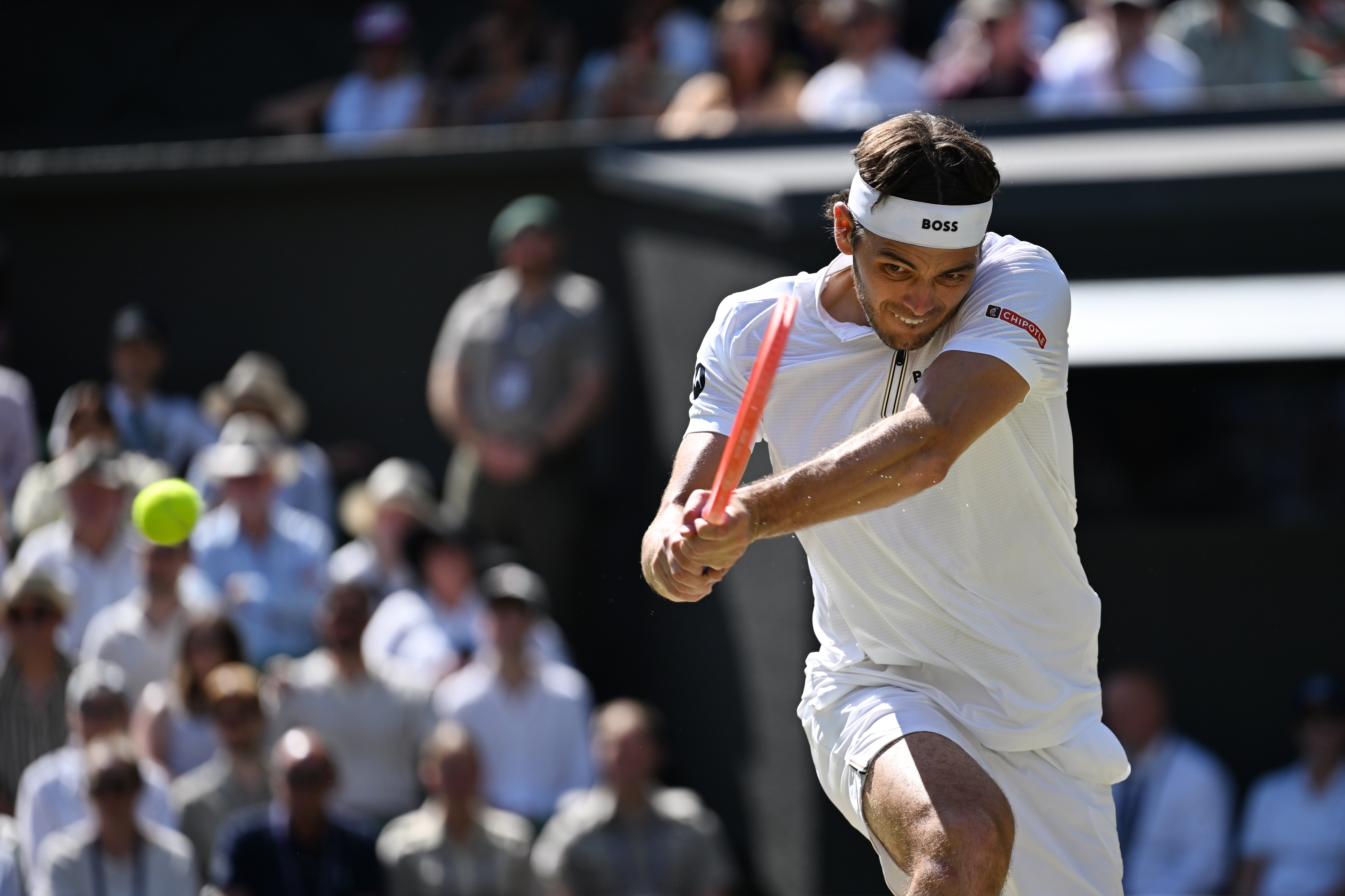 关于温网横扫ATP总决赛,阿尔卡拉斯刷新纪录的信息 关于温网横扫ATP总决赛,阿尔卡拉斯刷新纪录的信息