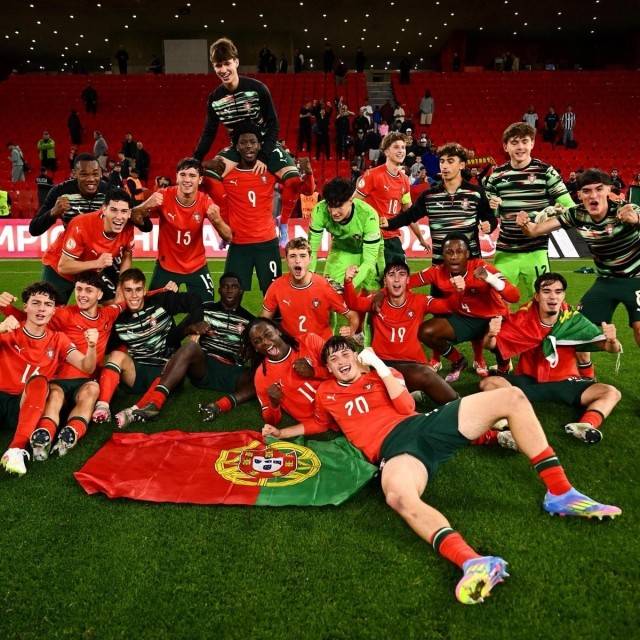 奥地利队轻取葡萄牙队,奥恰洛夫高光表现的简单介绍 奥地利队轻取葡萄牙队,奥恰洛夫高光表现的简单介绍