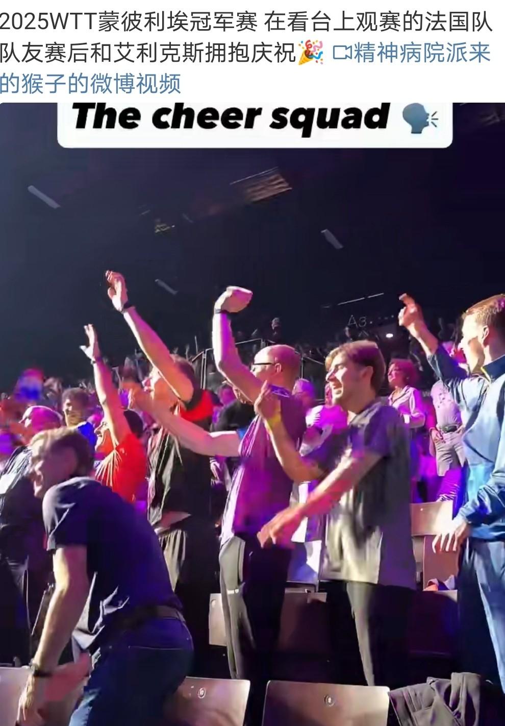 德国队鏖战法国队，张本智和带队取胜的简单介绍