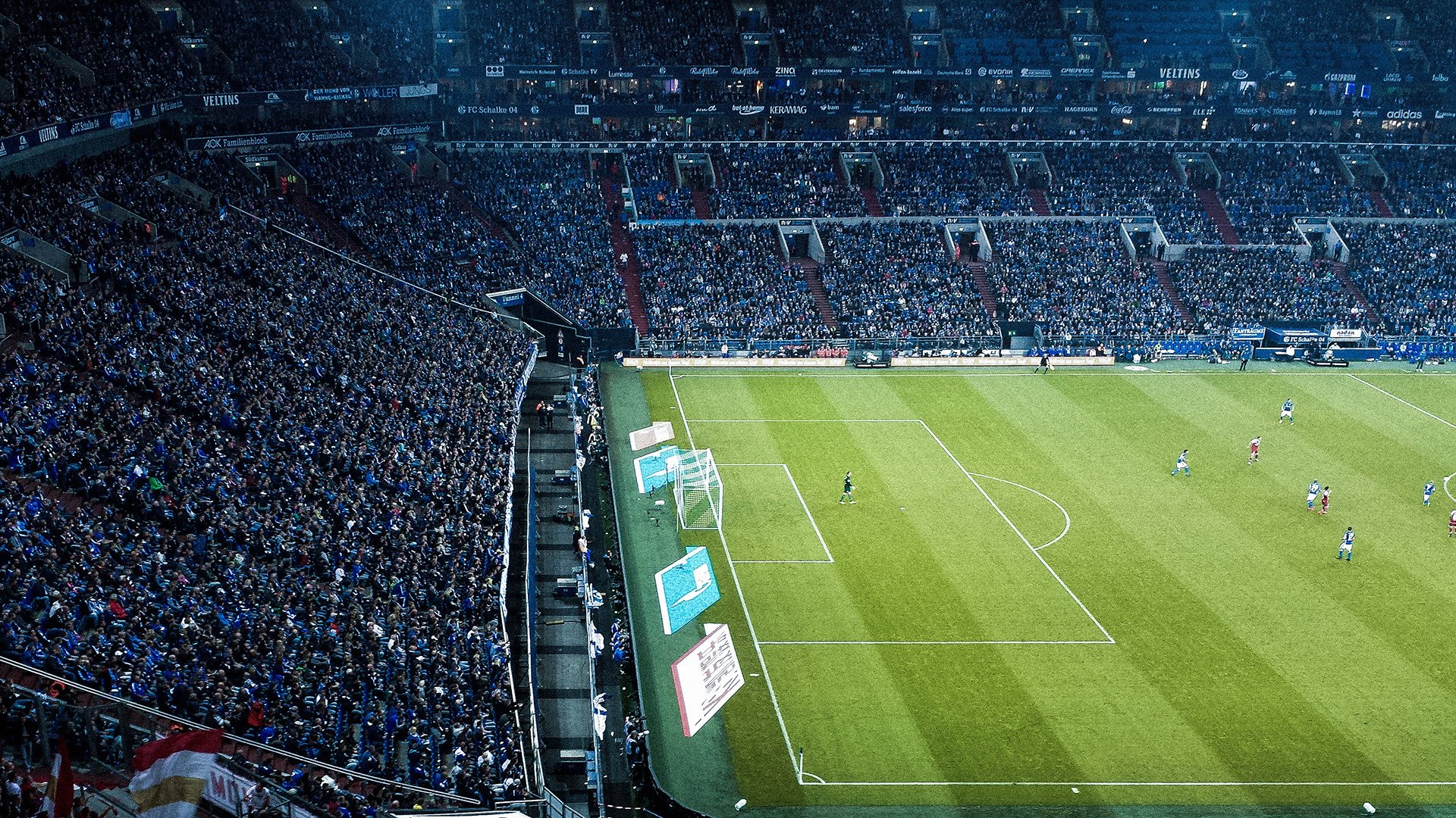 绿茵场与乒乓台的双重奏，葡萄牙横扫瑞典，张继科点燃赛场之夜